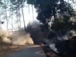 Sepekan Terbakar, Api Gunung Butak Dekati Permukiman Sepekan Terbakar, Api Gunung Butak Dekati Permukiman