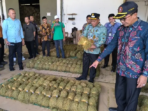 Serapan Tembakau Pamekasan Tembus 42.575 Ton