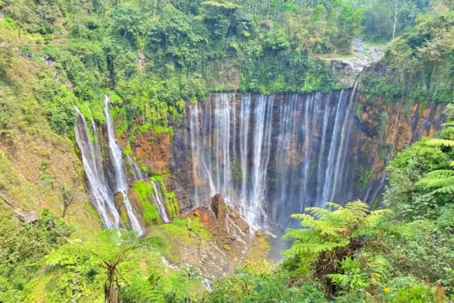 Turis Asing ke Lumajang Tembus 113 Ribu, Tumpak Sewu Jadi Primadona