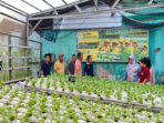 UK Petra Kembangkan Smart Edufarm Berbasis IoT di Wonocolo