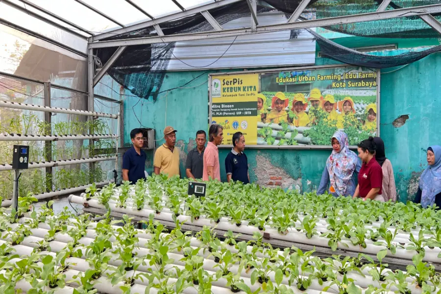 UK Petra Kembangkan Smart Edufarm Berbasis IoT di Wonocolo